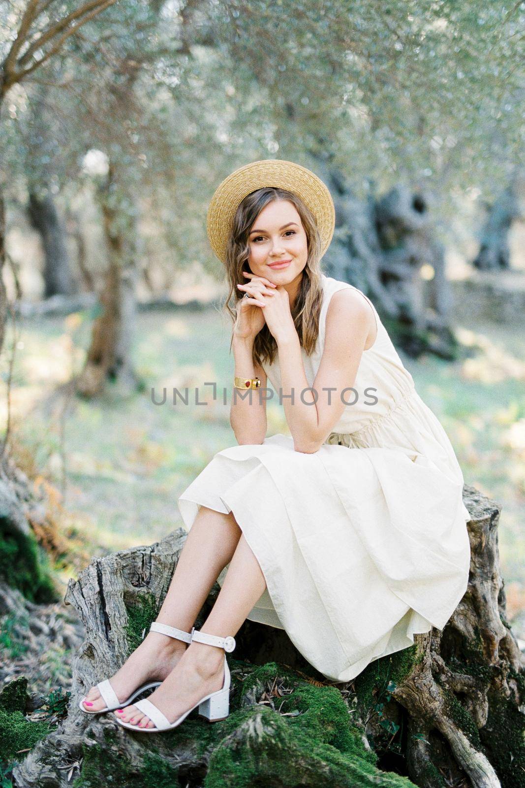 Young woman in a straw hat sitting on a stump in an olive grove. High quality photo