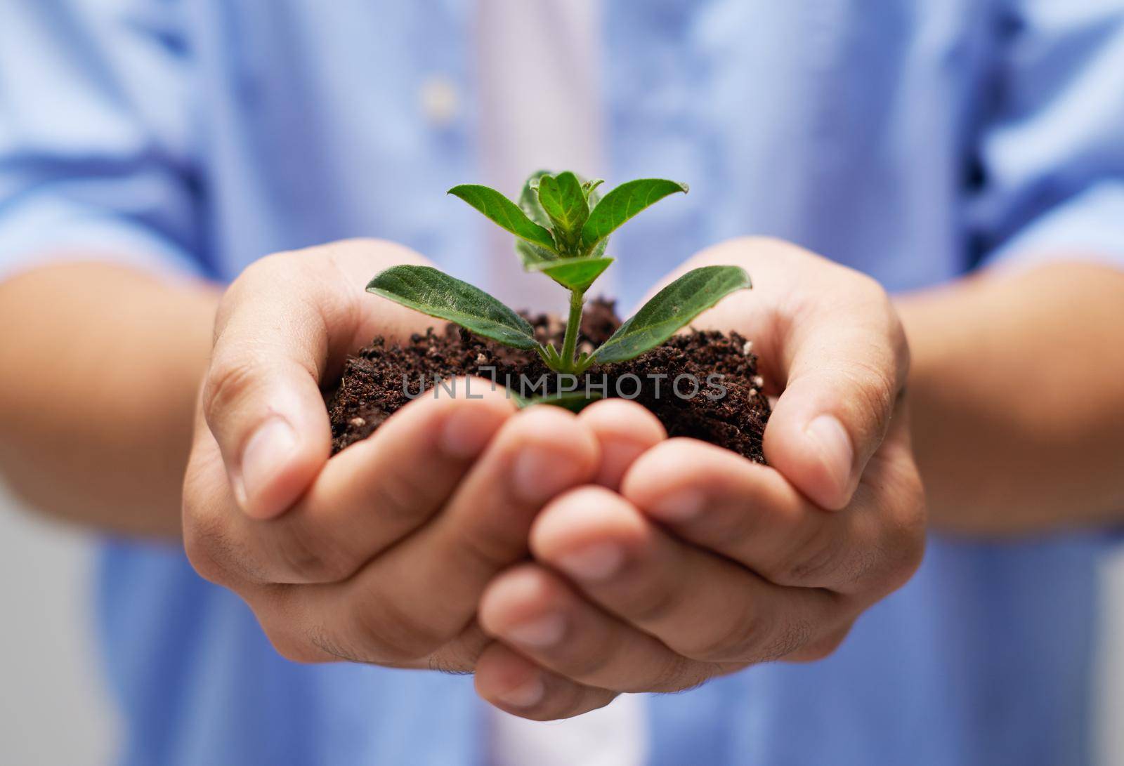 Nurturing new life. a person holding a pile of soil with a budding plant. by YuriArcurs