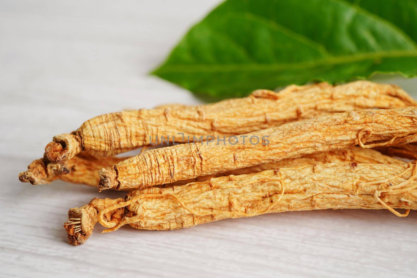 Ginseng roots and green leaf, healthy food.