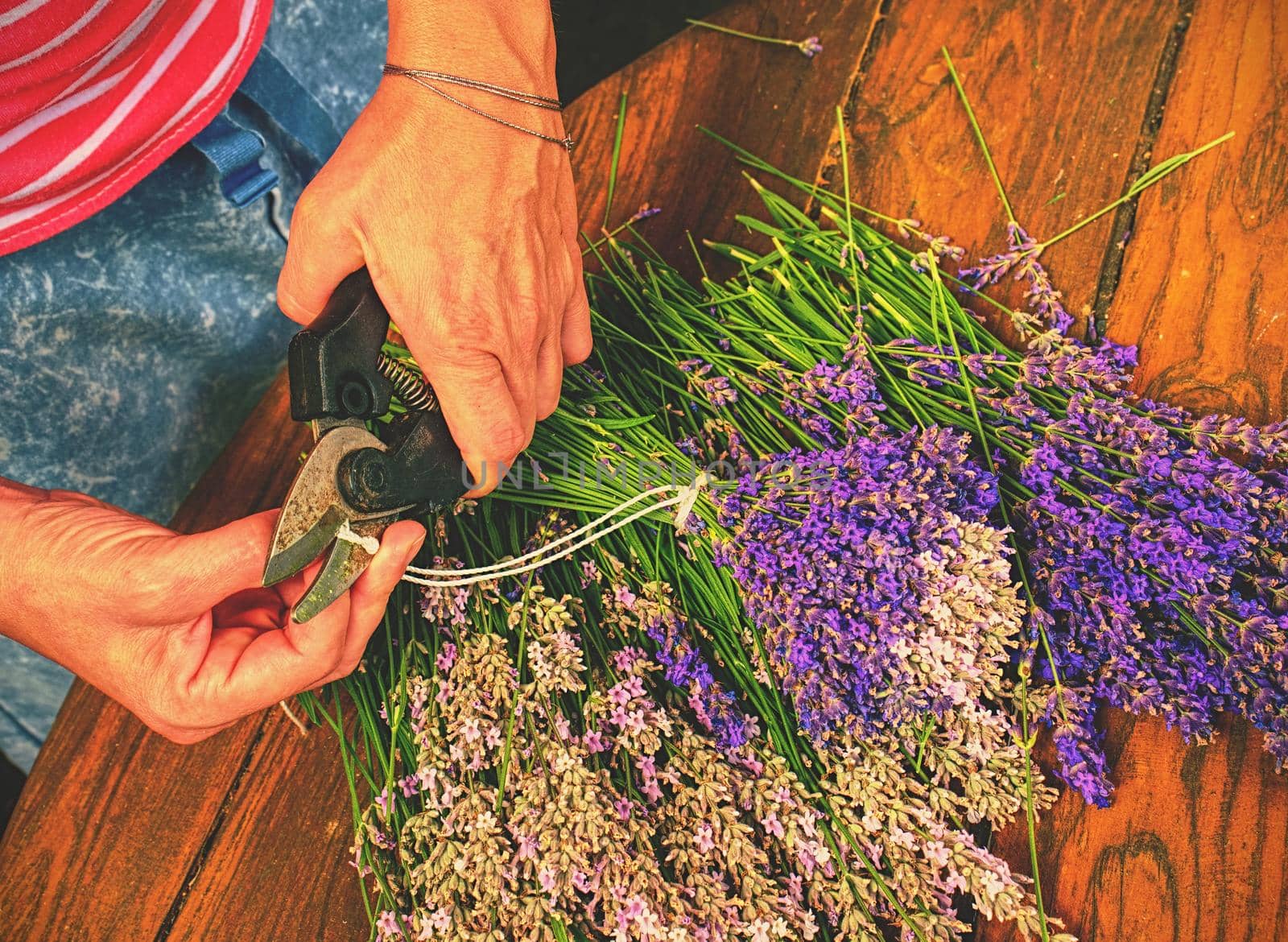 Beautiful lavender flower from my flower garden. Levander bouquet on table in Provence