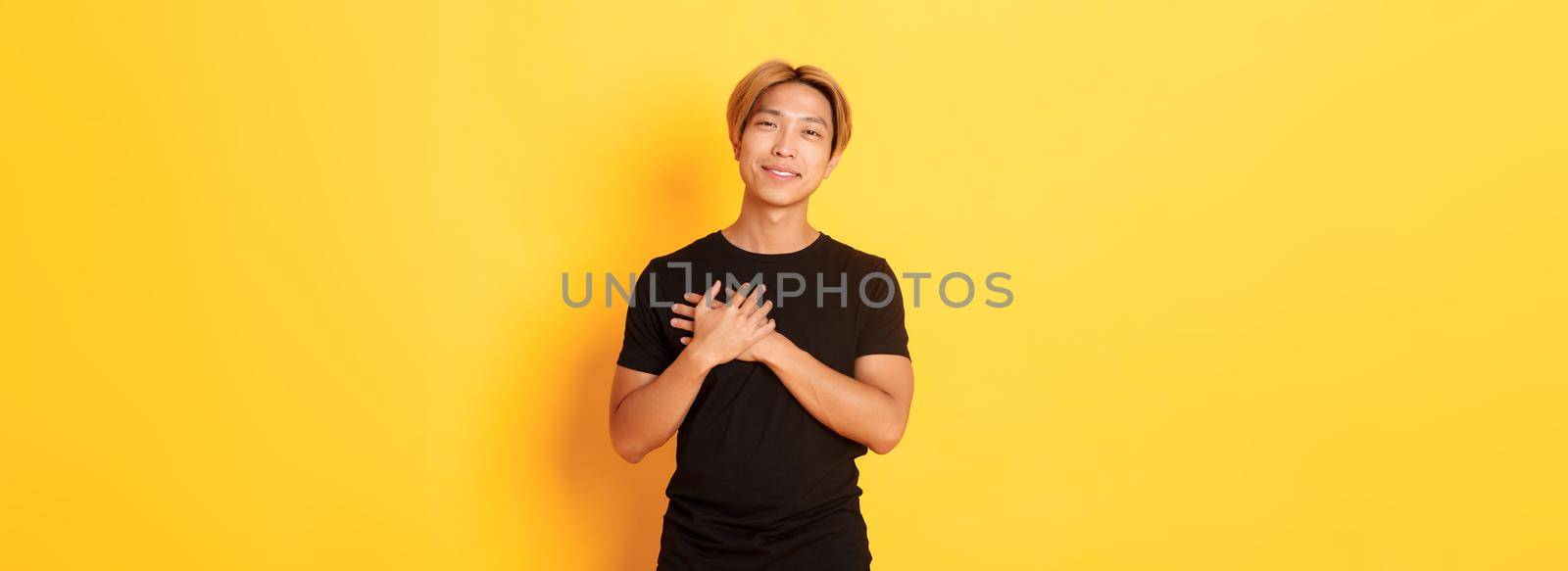 Portrait of touched handsome asian guy holding hands on heart and smiling flattered, yellow background.