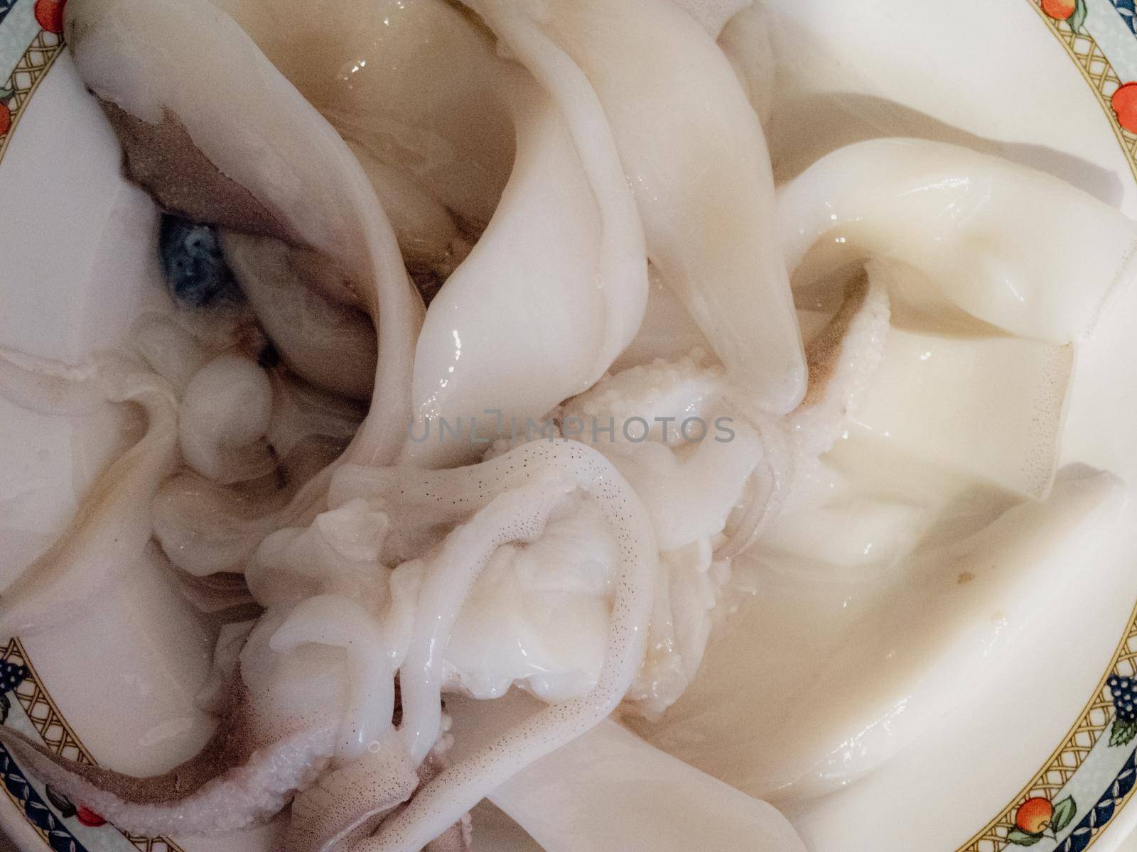 cleaning a raw adriatic cuttlefish at home in Numana, Marche, Italy