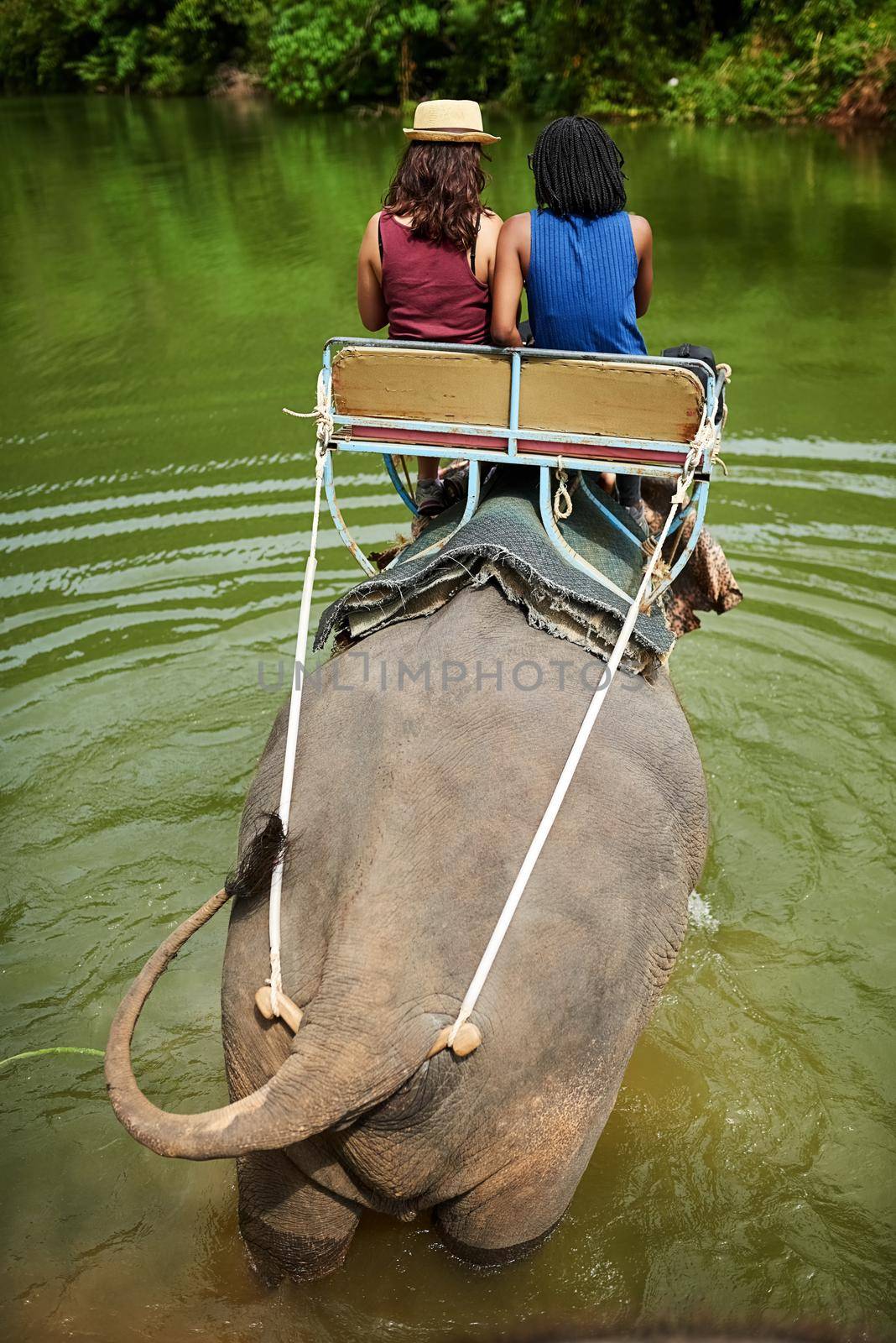 The ultimate bucket list experience. Rear view shot of two young tourists on an elephant ride through a tropical rainforest