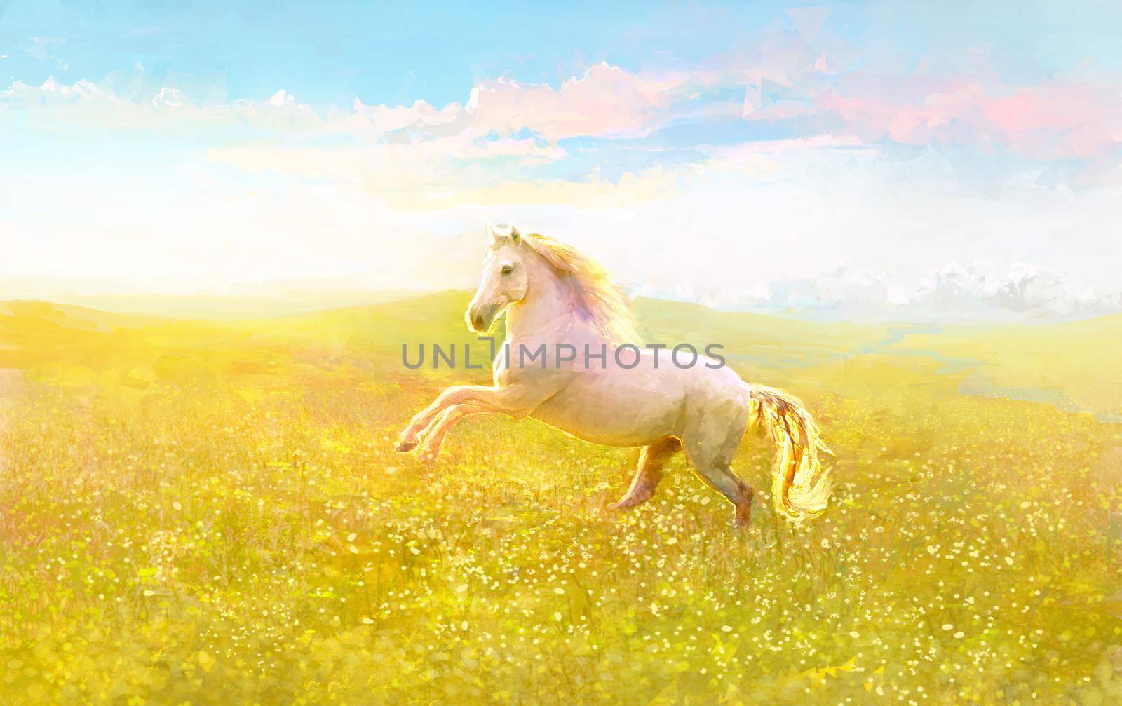 Scenic Illustration of Freedom. Running Horse on green meadow on sunset. 