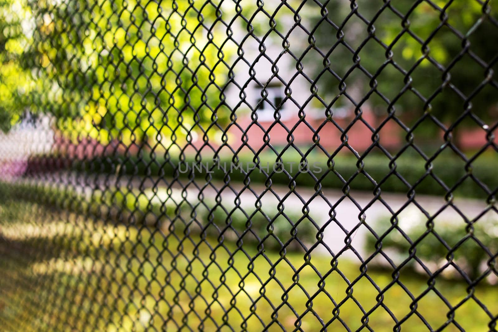 Metal mesh fence on the background of a green garden