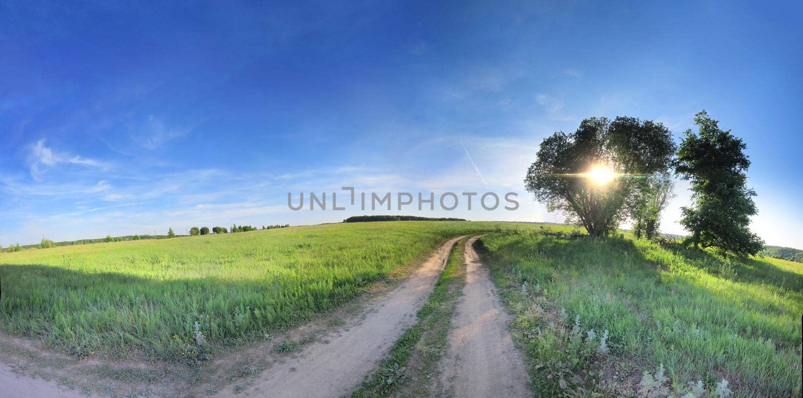 Scenic Landscape of Field with Road and Tree under clear blue sky