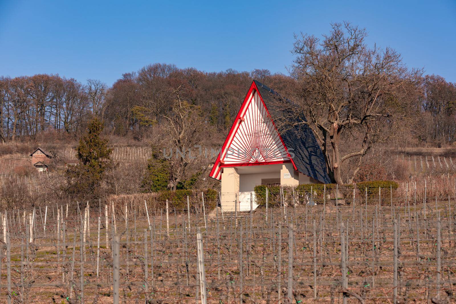 Hillside location with houses in the cultivated landscape of viticulture in sunshine