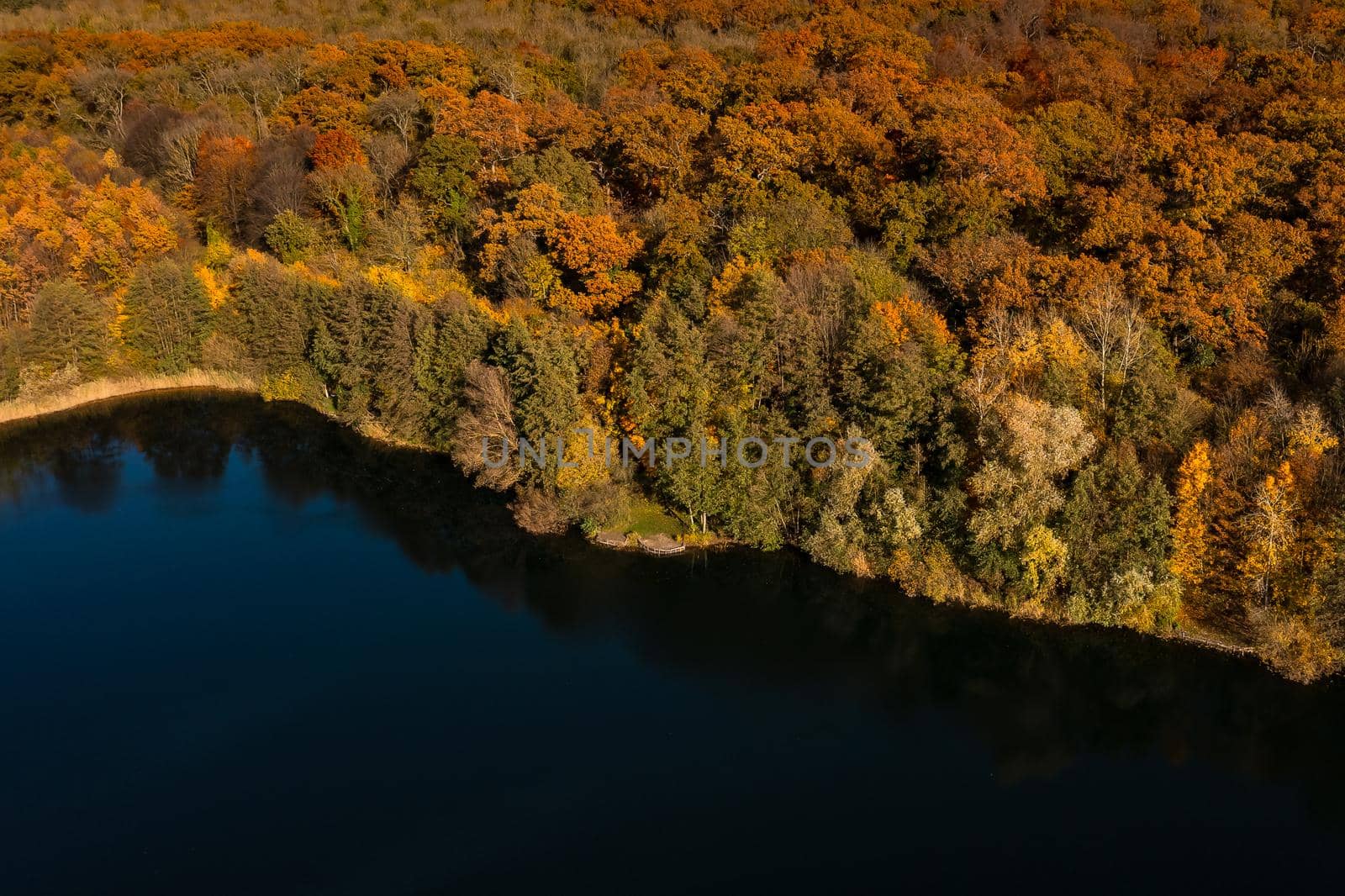 Aerial view of a blue lake next to autumn colors of a deciduous forest in Hesse