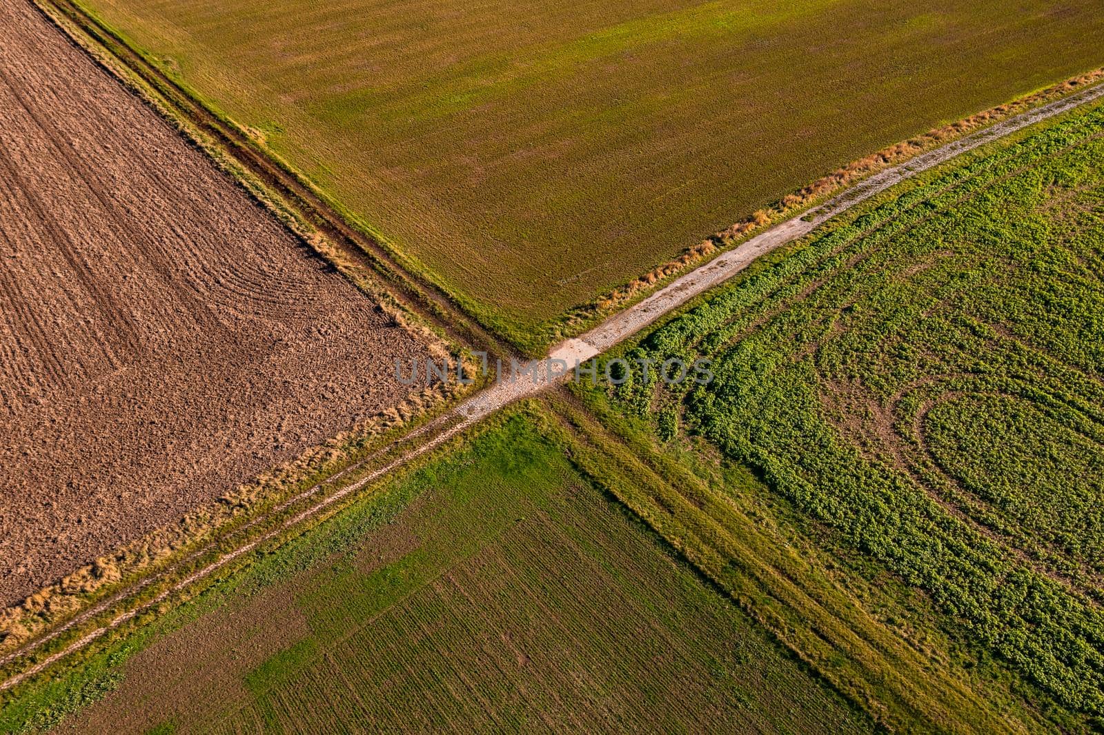 Aerial view of a paved path and a farm road that form a cross between fields