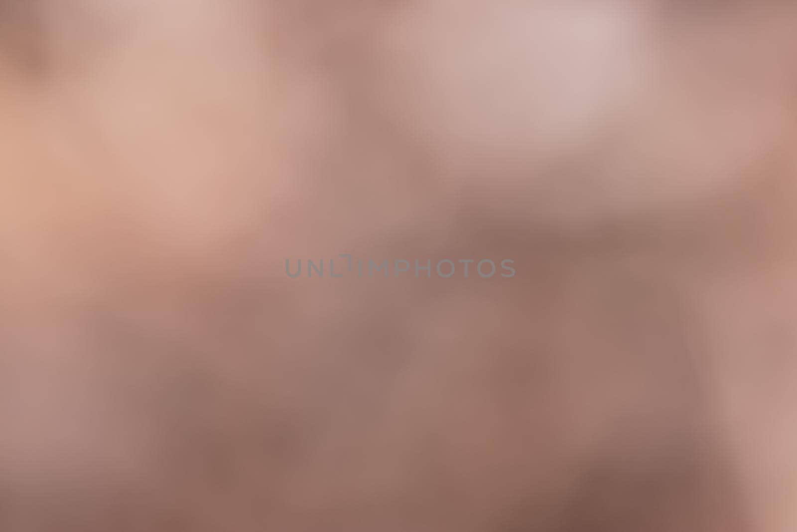 Blurred background with natural light brown colors with a gradient of white and brown from a blurry photo from the garden in autumn