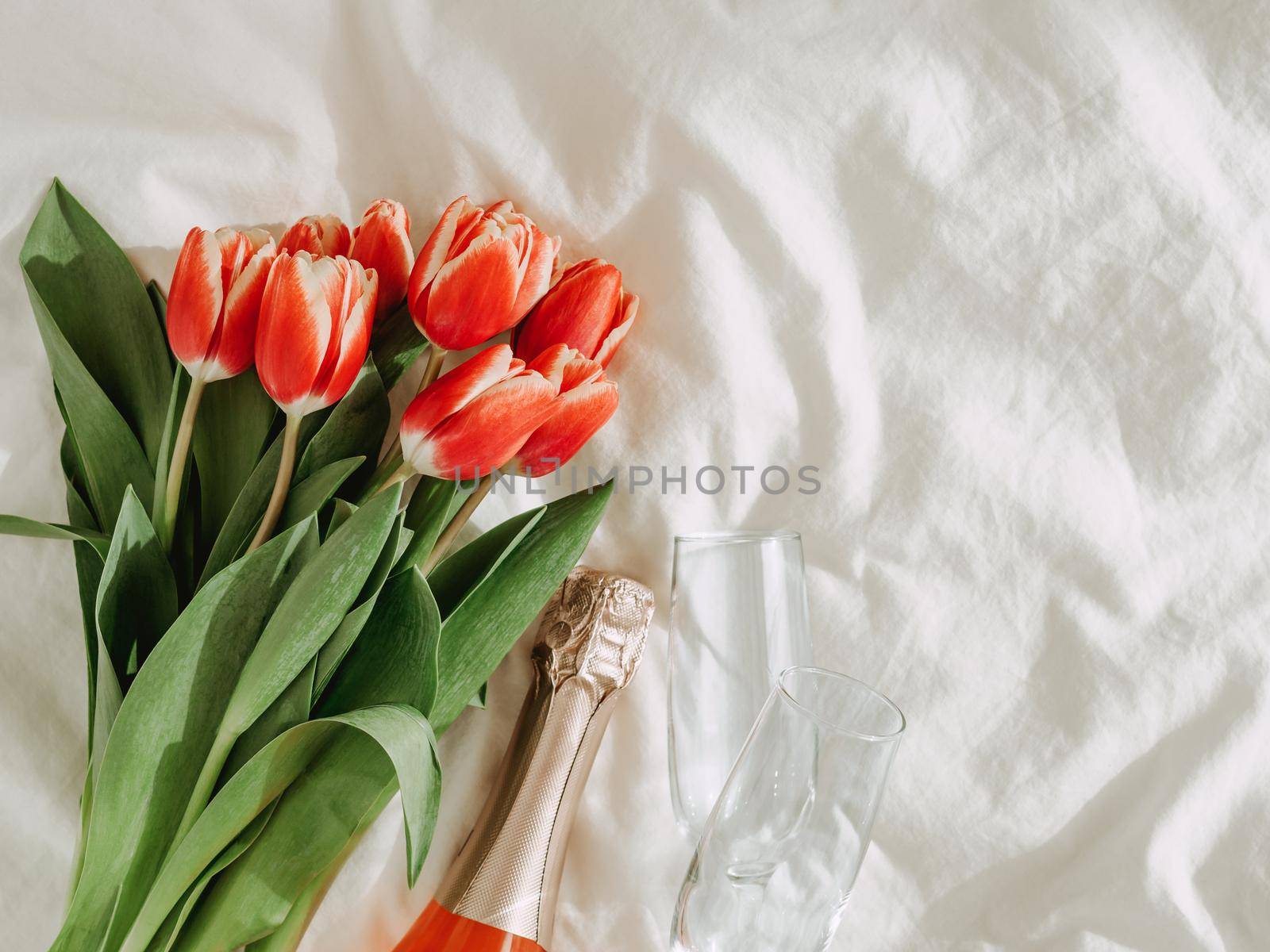 Bunch of red tulips, rose wine and champagne glasses on white bed sheets. Valentines day, date, march 8 concept. Spring flowers and bottle. Top view or flat lay. Copy space