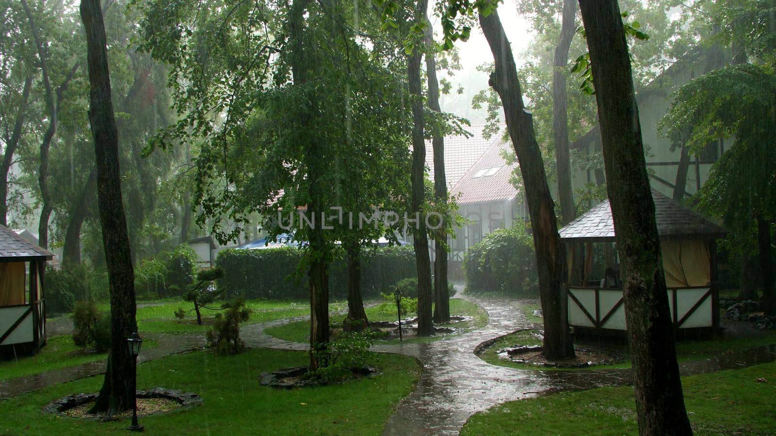 summer rain, a thunderstorm, a heavy downpour at the recreation center, in a pine forest, park. water flows down in large drops. High quality photo