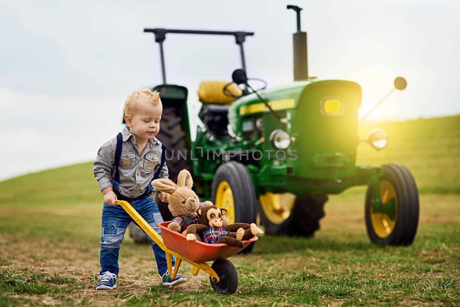 Growing up on the greens. an adorable little boy pushing a toy wheelbarrow filled with stuffed animals on a farm. by YuriArcurs