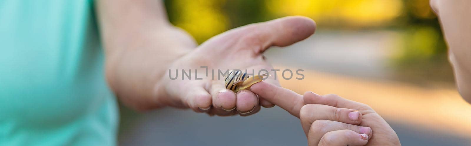 Grandmother and child are studying the snail in the park. Selective focus. Nature.