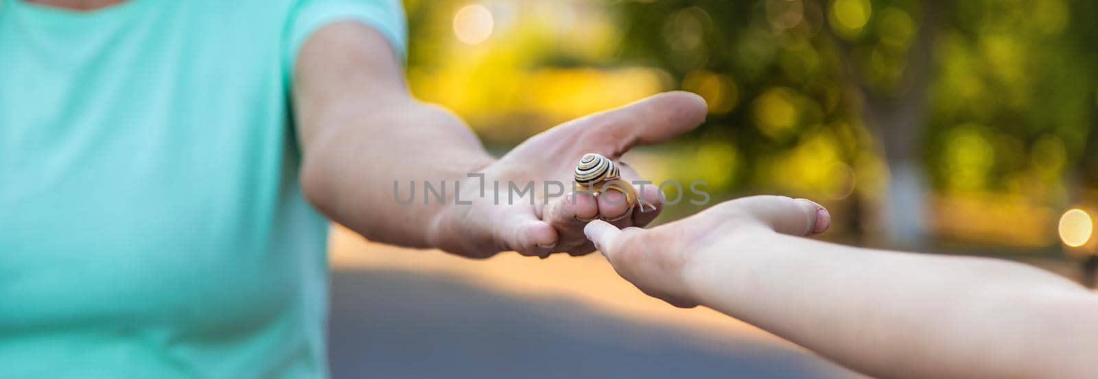 Grandmother and child are studying the snail in the park. Selective focus. by yanadjana