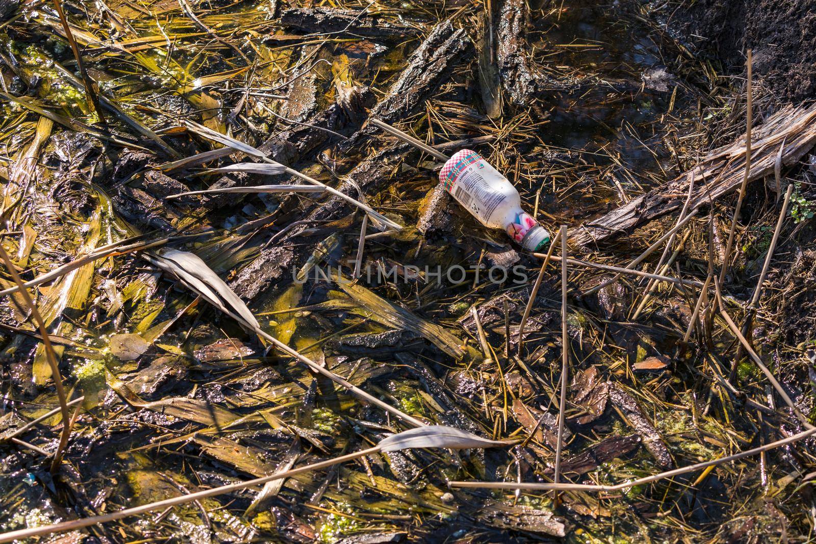 A plastic bottle pollutes a stream in a nature reserve