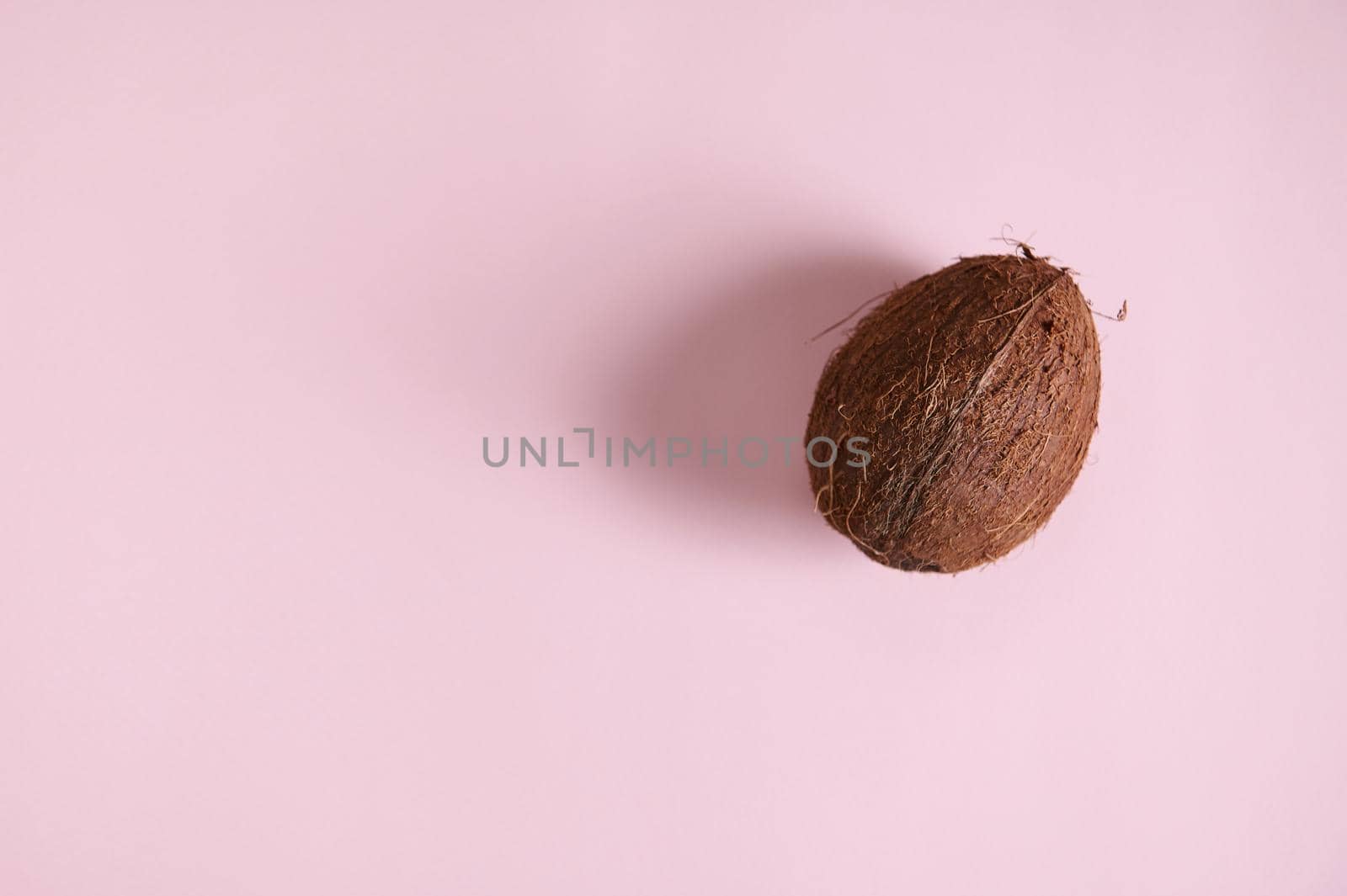 Flat lay. Still life with a raw vegan organic and healthy coconut isolated on pink background with copy advertising space for promotional text. Horizontal studio shot with soft shadow. Web banner