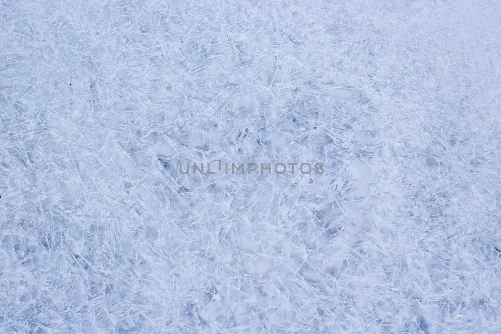 Clean Ice on River with Freeze Crystals. Best Close up Texture of Ice with Details and Structure.