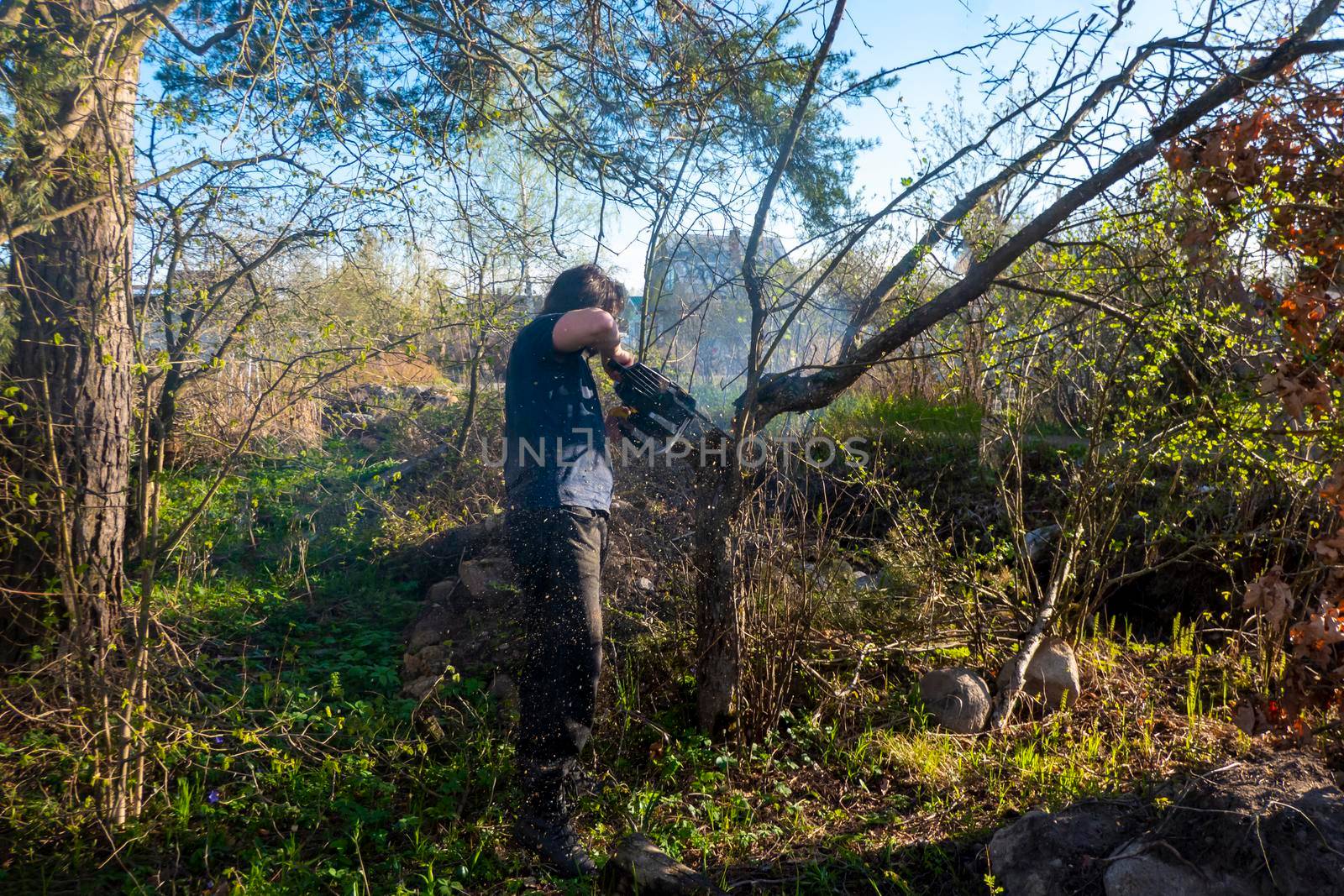 Man pruning and sawing apple tree using chainsaw. farmer sowing the dry branches of apple trees