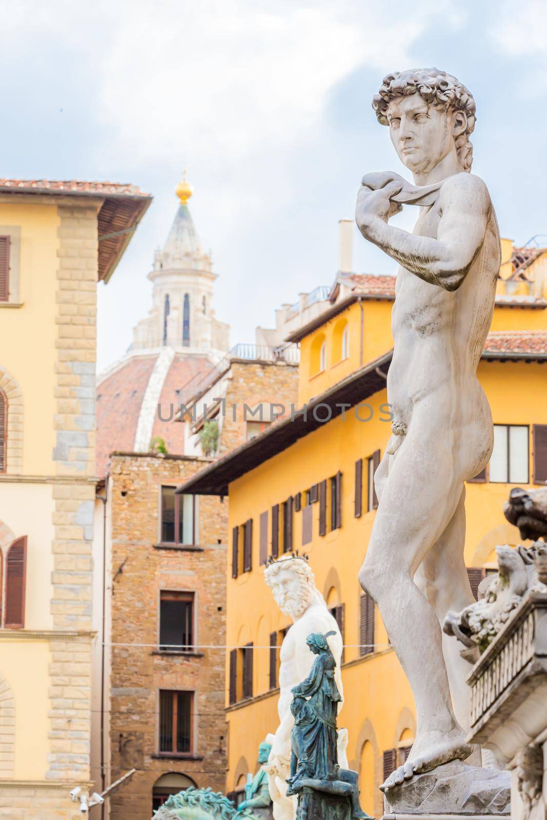 David by Michelangelo in Florence, Italy. Example of body perfection in marble