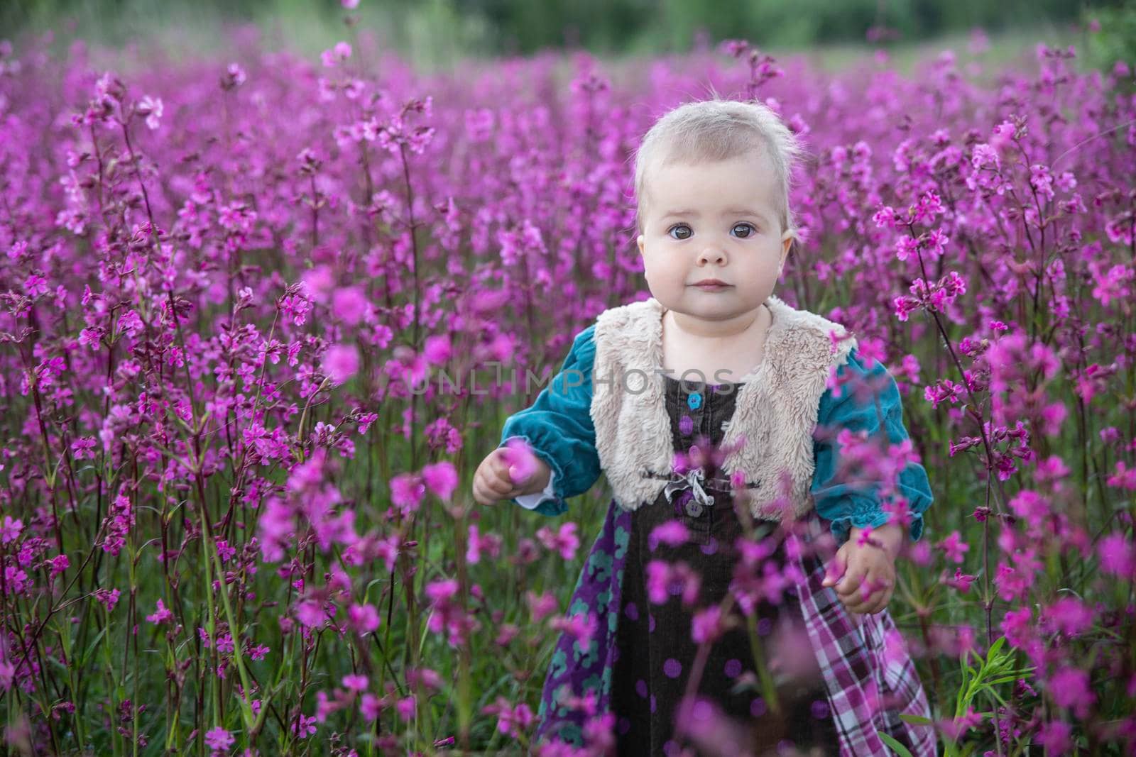 blond baby in a colored dress standing in a field with purple flowers