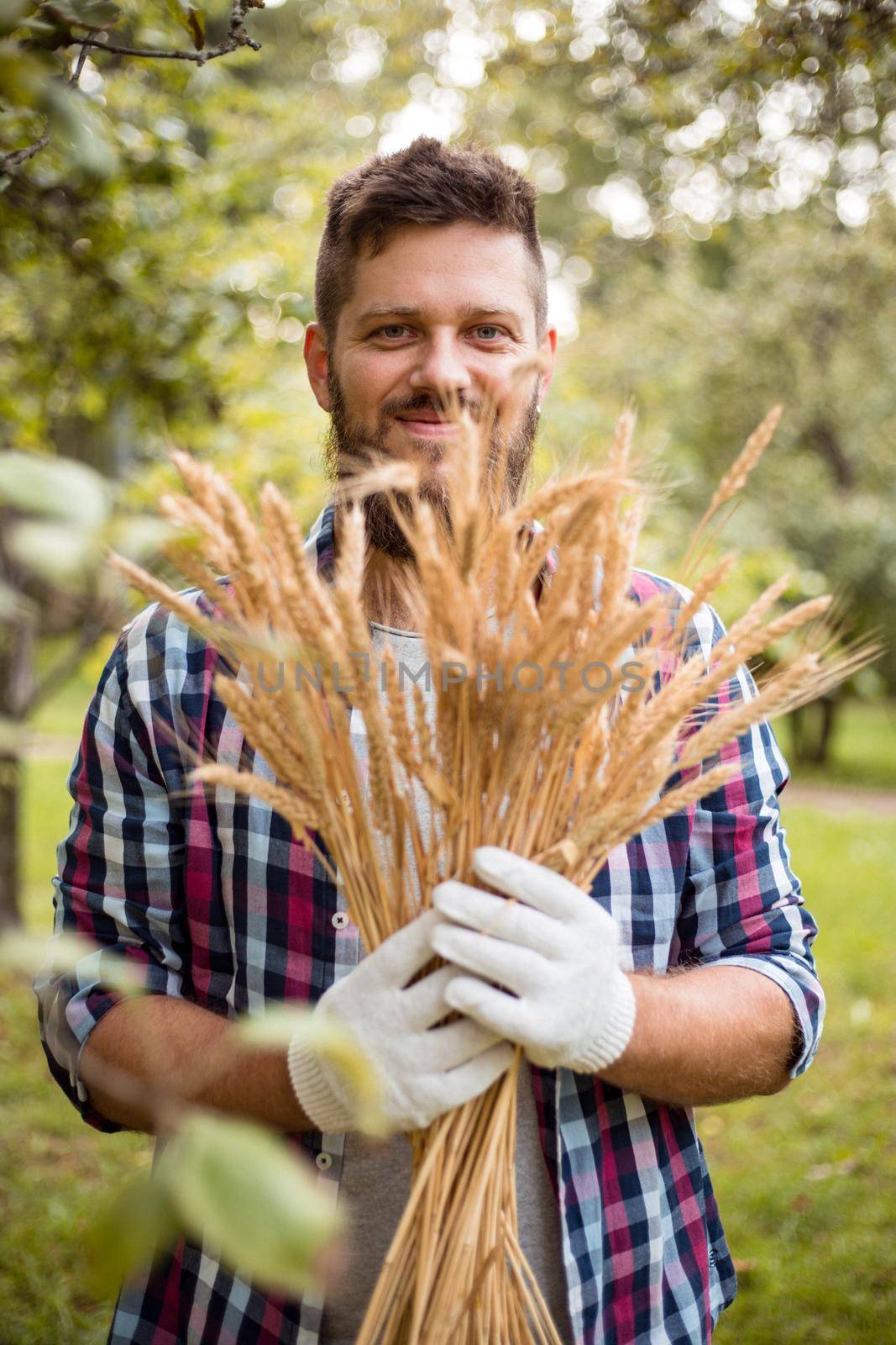 Satisfied smiling farmer looking at camera with a bunch of ripe wheat after a working day