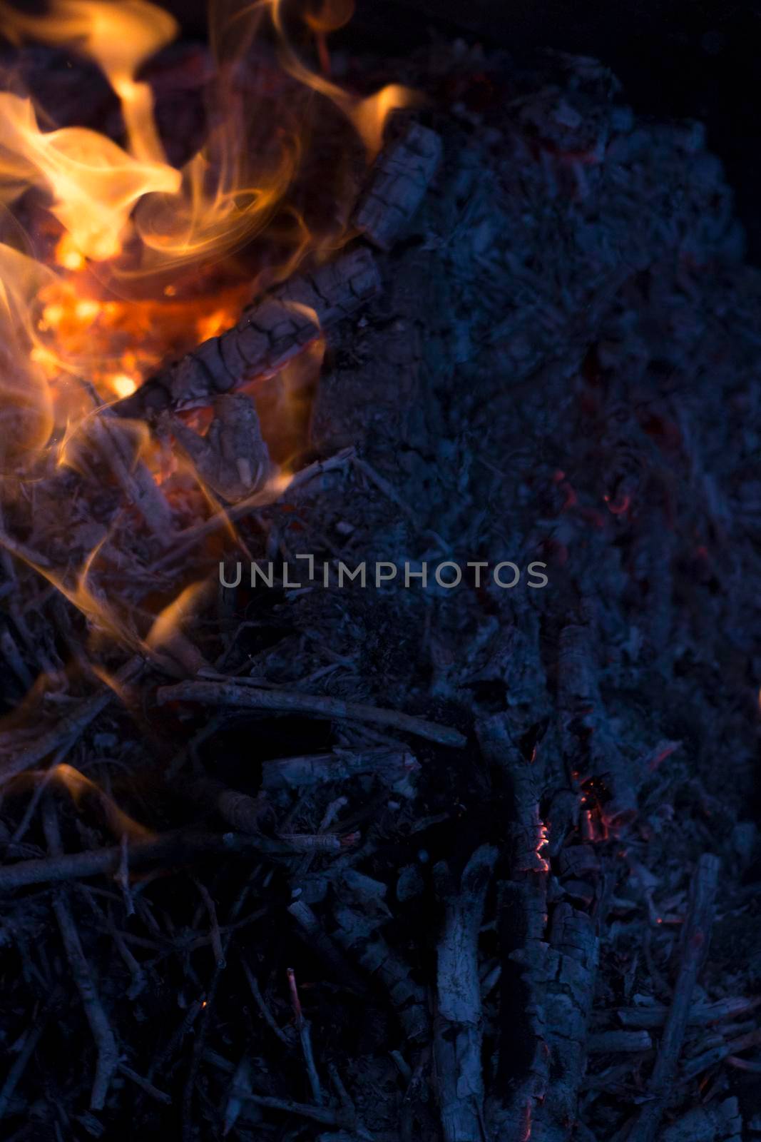 Flames of Burning Wood, Dark Neutral Background.