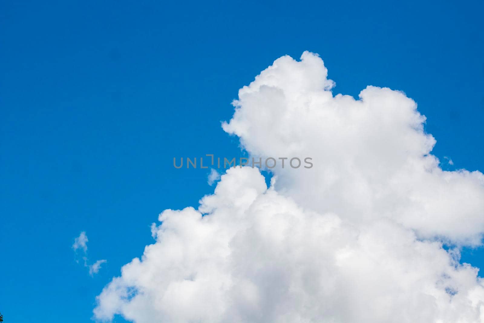 Beautiful Cumulus Clouds on Blue Sky at Sunny Day with Copy Space.