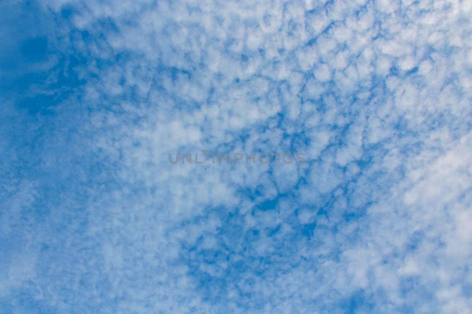 Altocumulus Sky Texture Background at Sunny Day. Light Scenic Environment