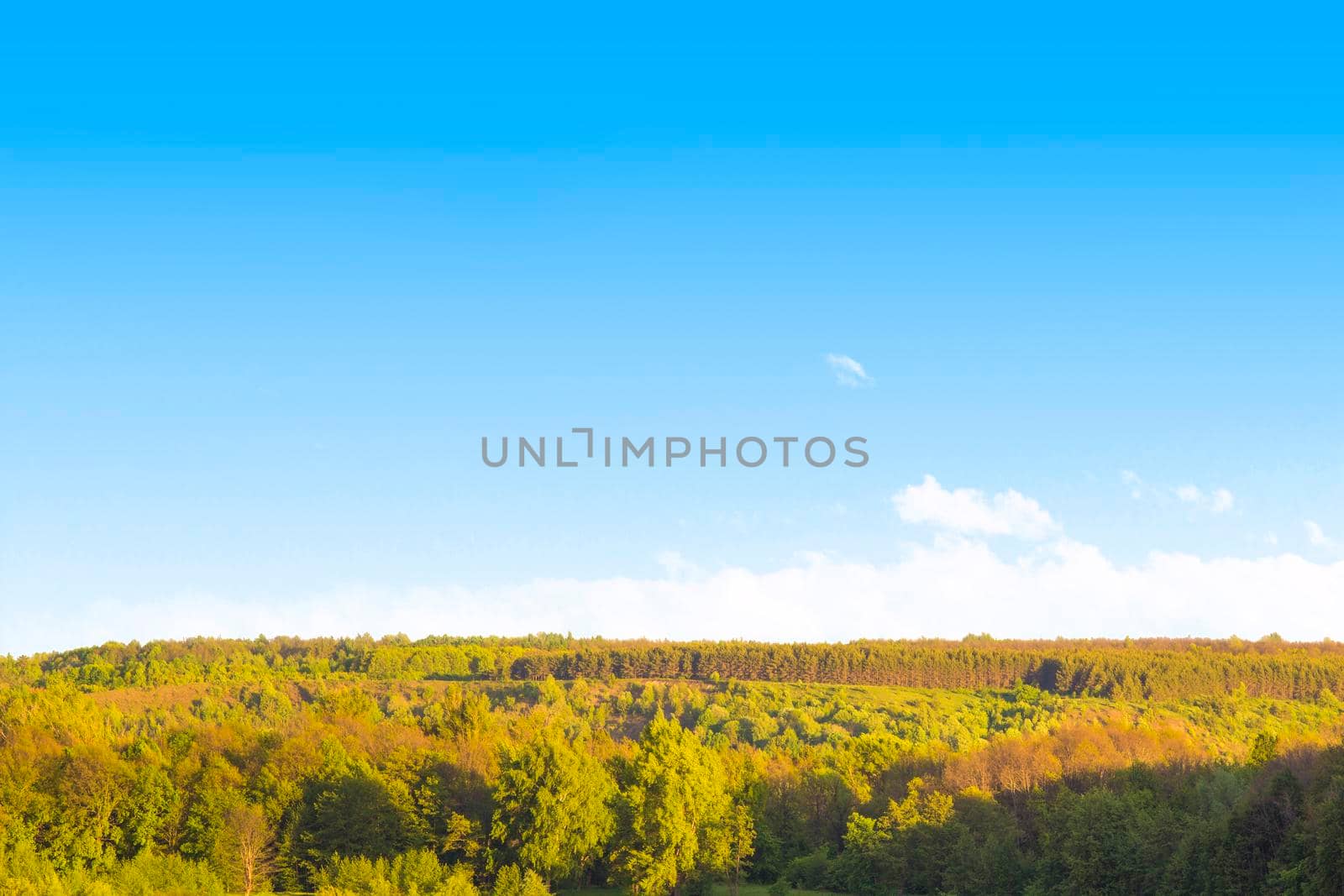 Scenic Landscape of Hill Mountain under Blue Clean Sky in end of Summer