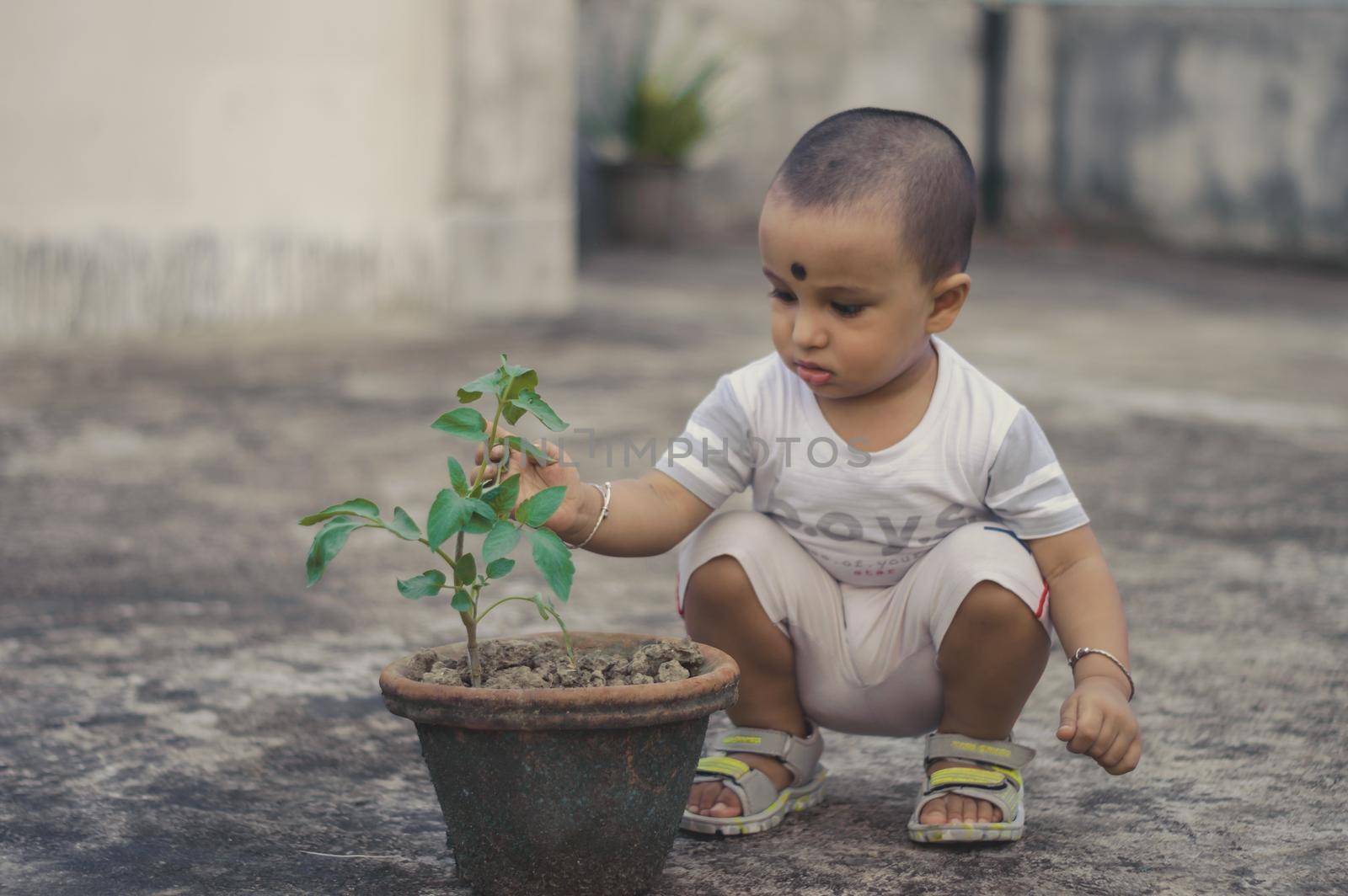 Cute Little baby boy with Flower tub sitting at outdoor by sudiptabhowmick