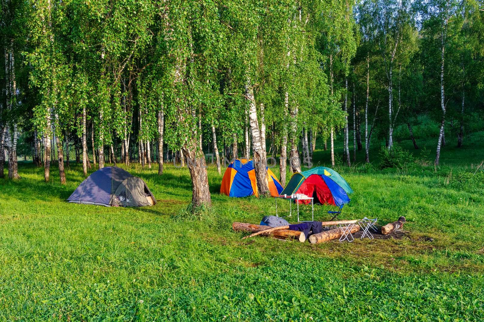 Early morning in the forest with tourist tents and a table. travel, hike