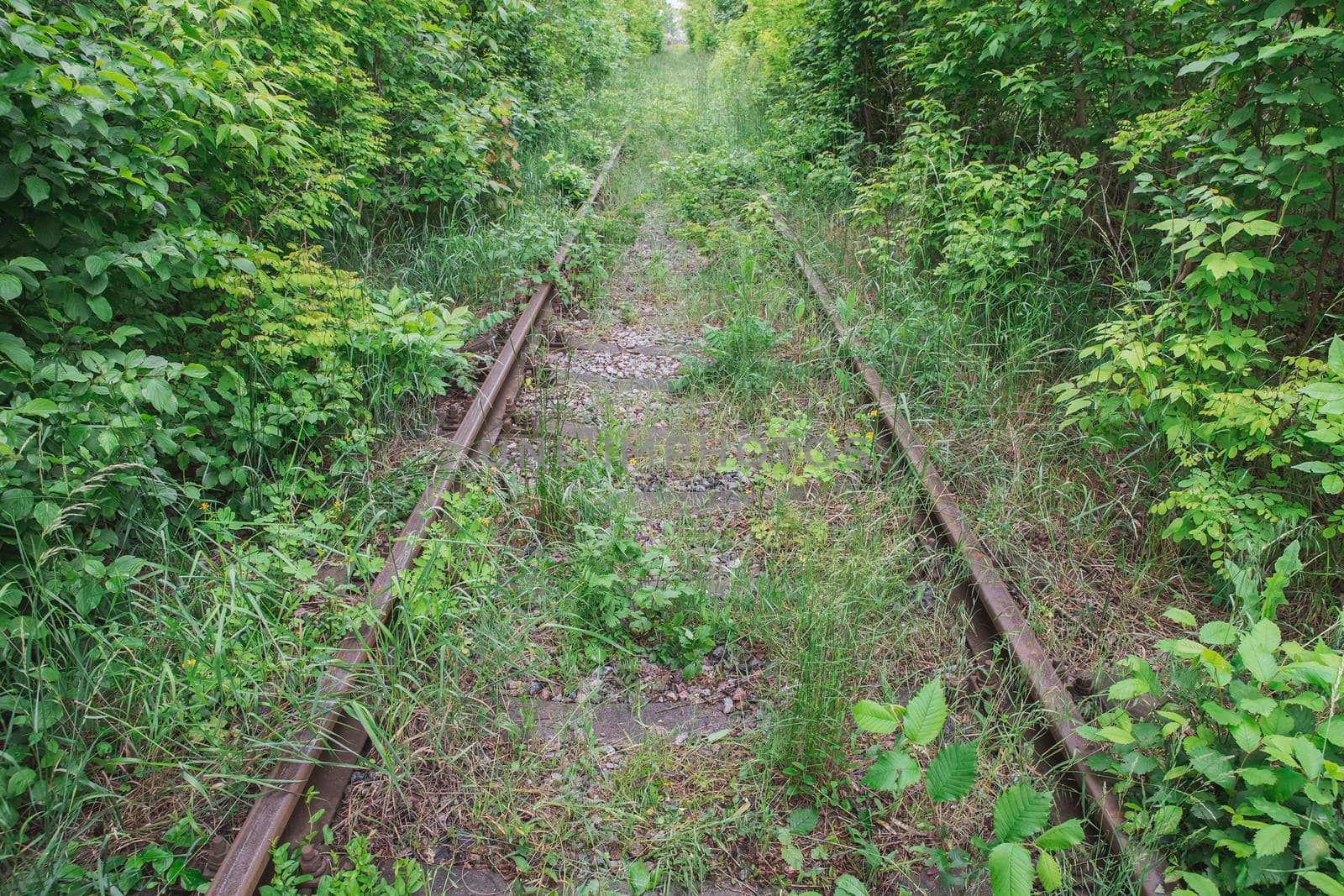 abandoned railway overgrown with grass by Viktor_Osypenko