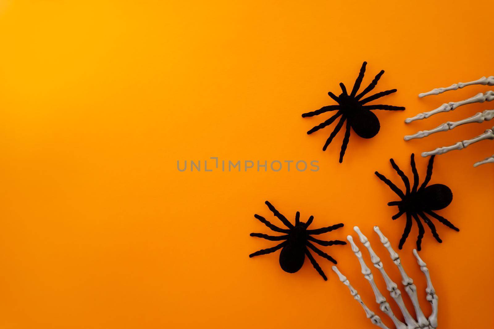 Halloween greeting card with spiders and a skeleton by Spirina