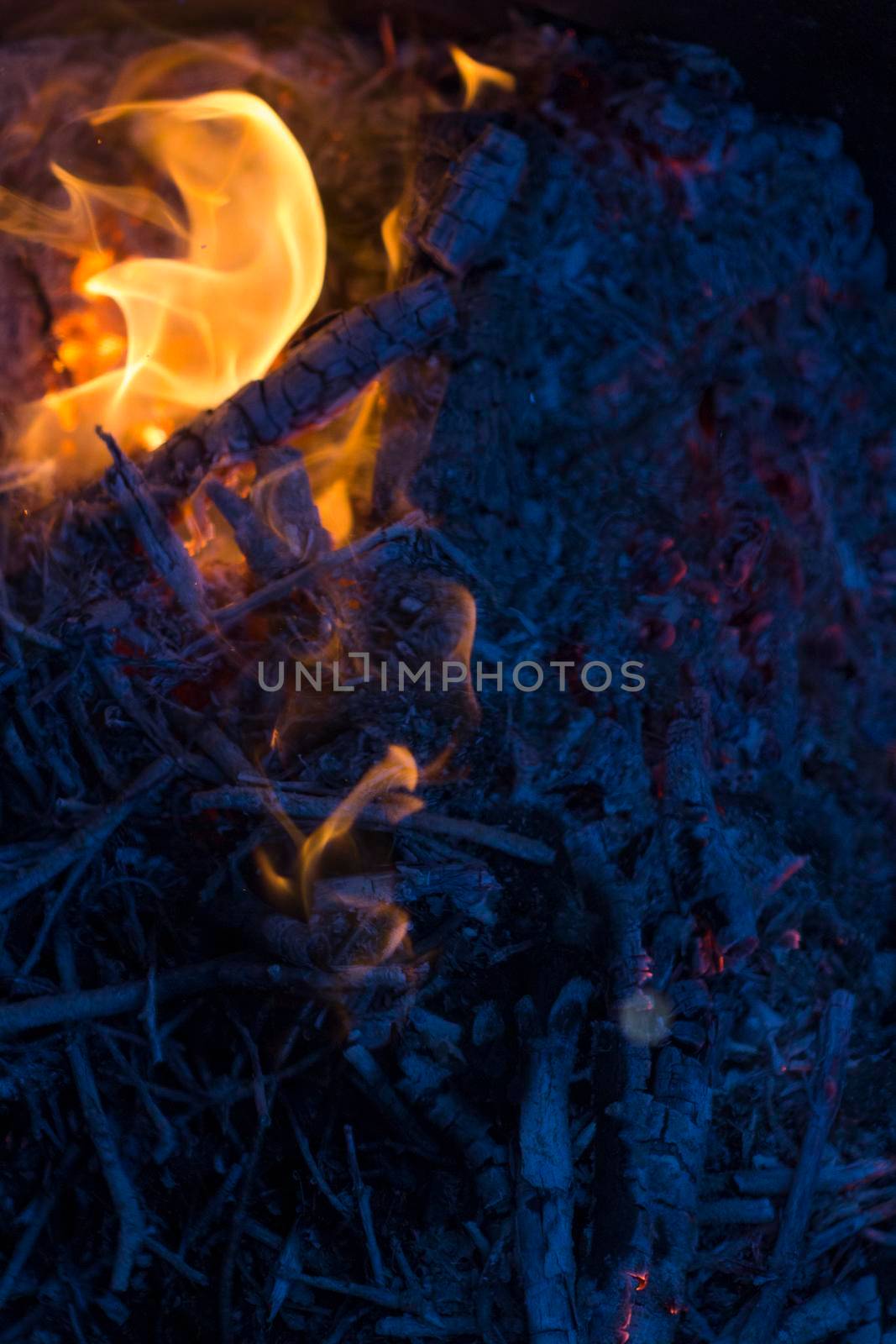 Vertical Beautiful Background with Flames of Wood in Bright Fire