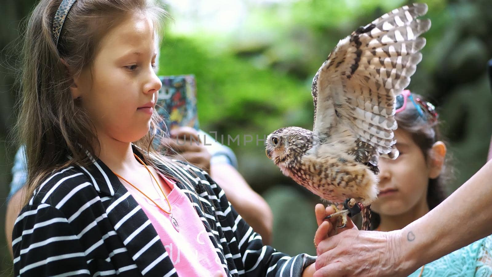 domestic owl. girl holding on hand and strokes a small motley owl. close-up. in the forest, park for a walk, summer day. High quality photo