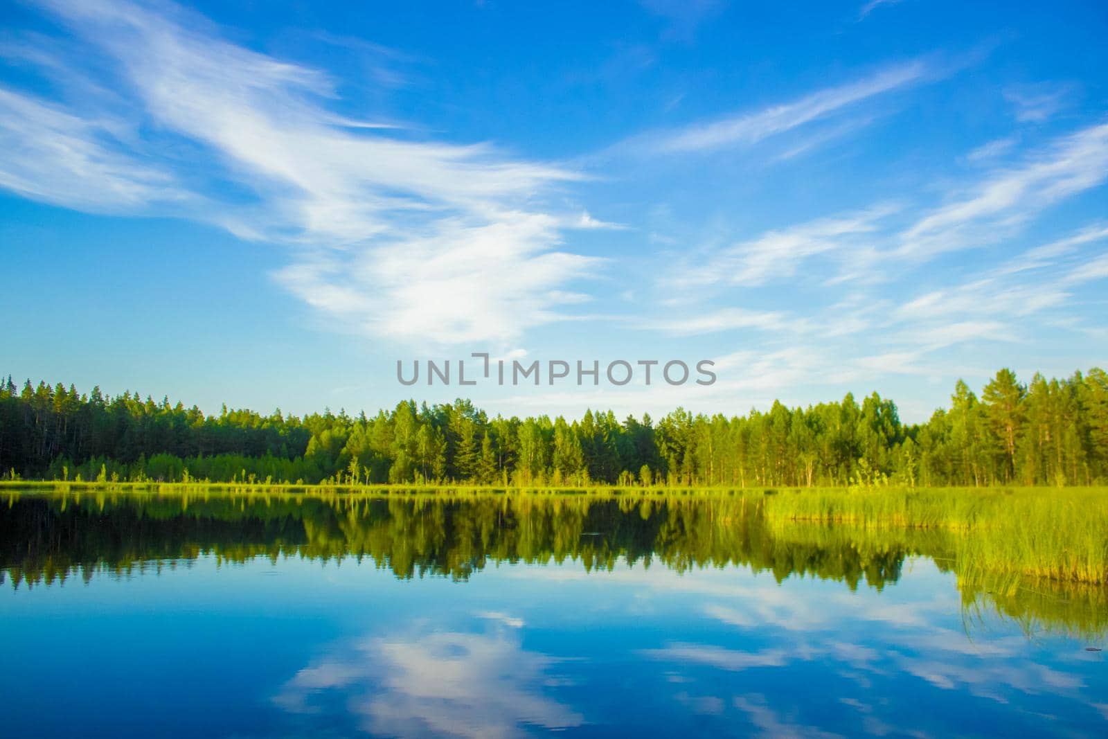 Scenic view of nature with lake, blue sky and forest reflected in water. Summer quiet picturesque landscape of Scandinavia, northern Europe.