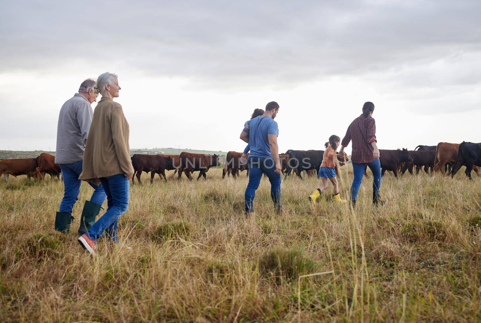 Family together, cattle field and business with people you love. Countryside farmer parents walking in meadow with children to bond. Relationship with kids and sharing ranch for next generation
