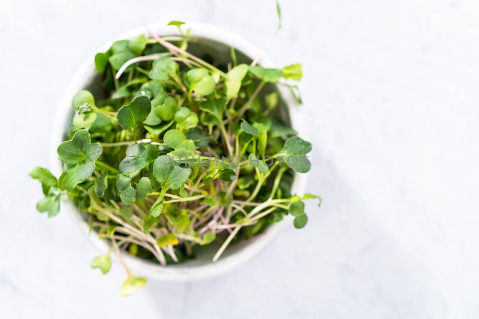 Freshly harvested radish microgreens in a bowl.