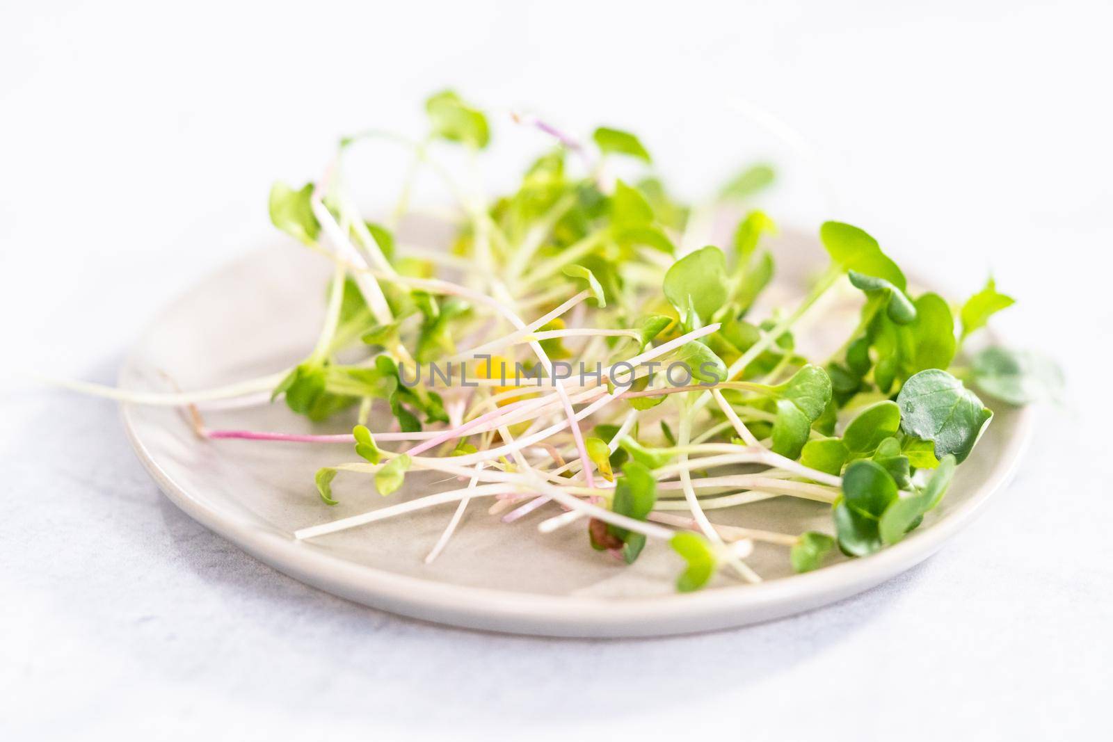 Freshly harvested radish microgreens in a bowl.