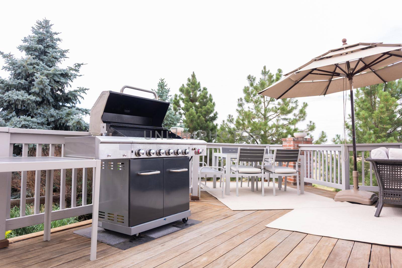 Outdoor six-burner gas grill on the back patio of a luxury single-family home.