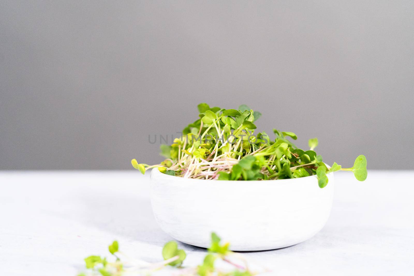 Freshly harvested radish microgreens in a bowl.