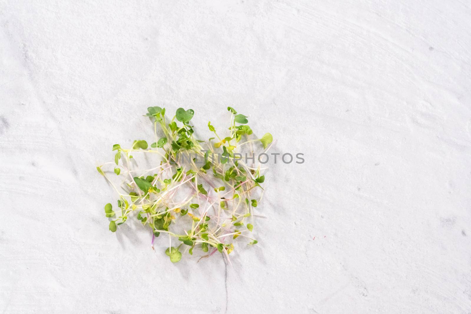 Flat lay. Freshly harvested radish microgreens in a bowl.