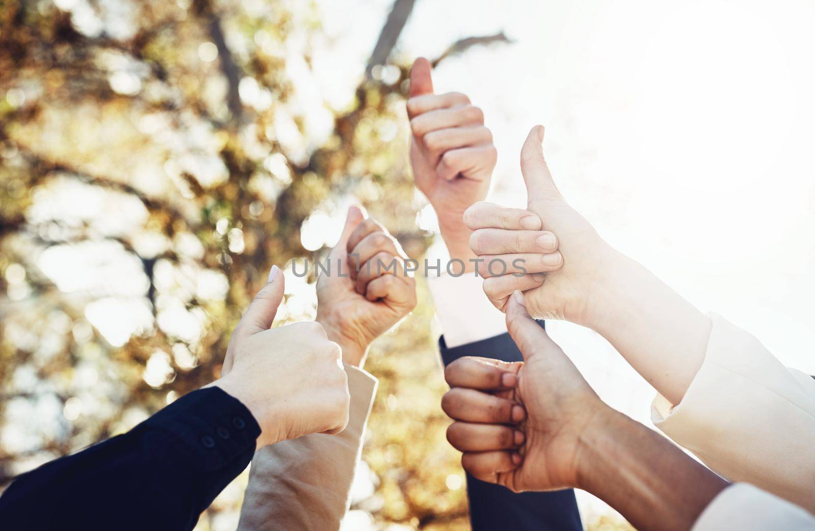 Thumbs-up to a great team. a group of businesspeople showing a thumbs up gesture. by YuriArcurs