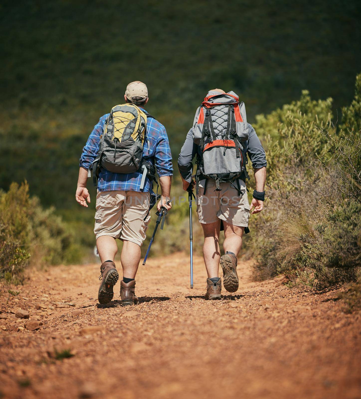 Friends trekking nature while hiking in a forest together, being active and bonding outdoors. Active male travel on a path in the woods, enjoying a physical challenge while on trekking adventure by YuriArcurs