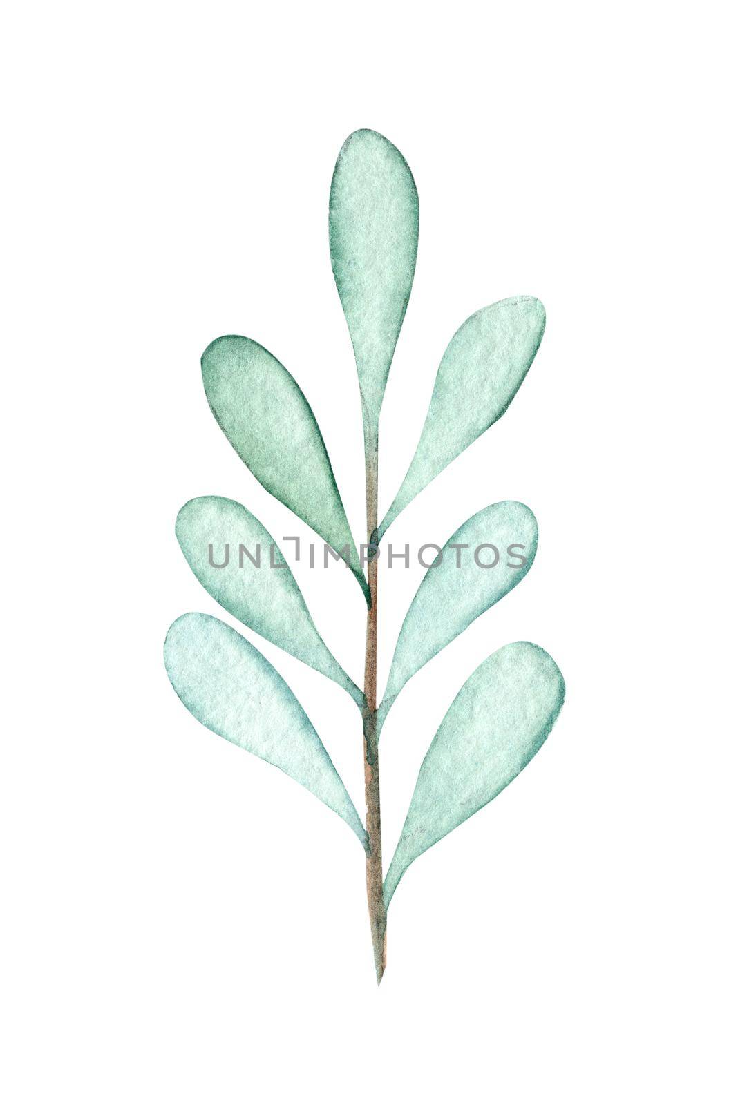 Watercolor mistletoe branch isolated on white background