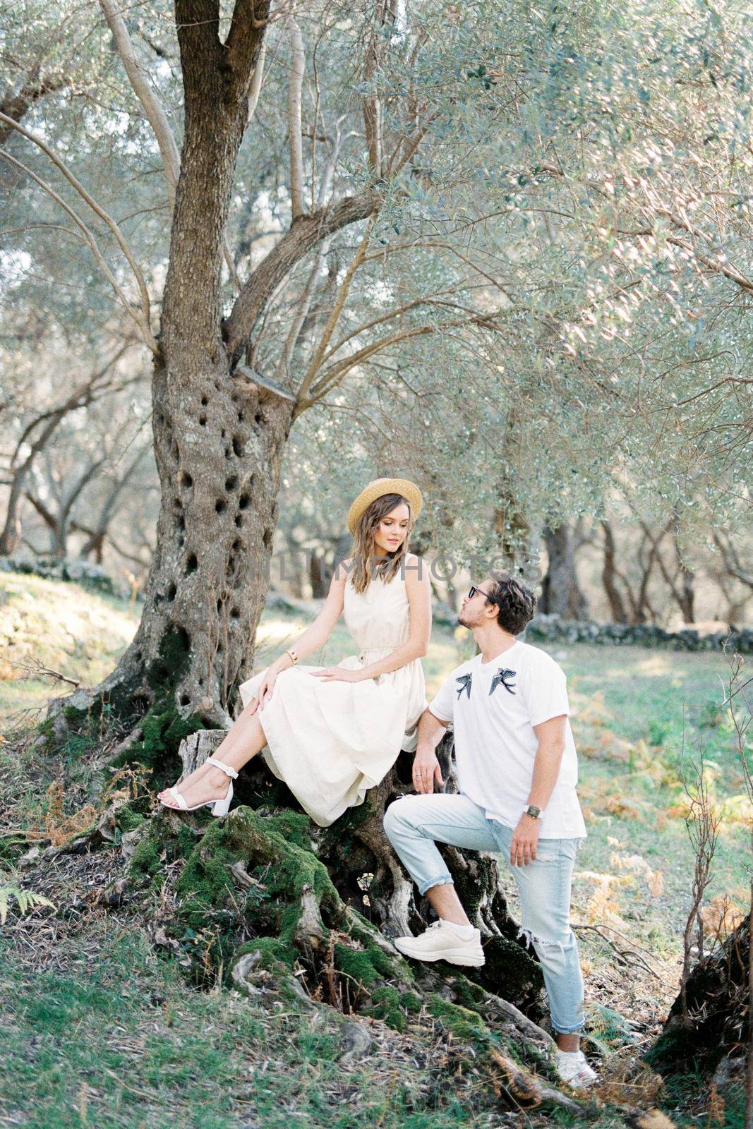 Man stands near the roots of an olive tree on which a woman sits. High quality photo