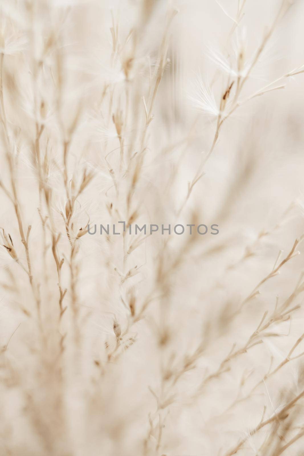 Beauty in nature, balanced lifestyle, environmental concept - Rustic autumn field