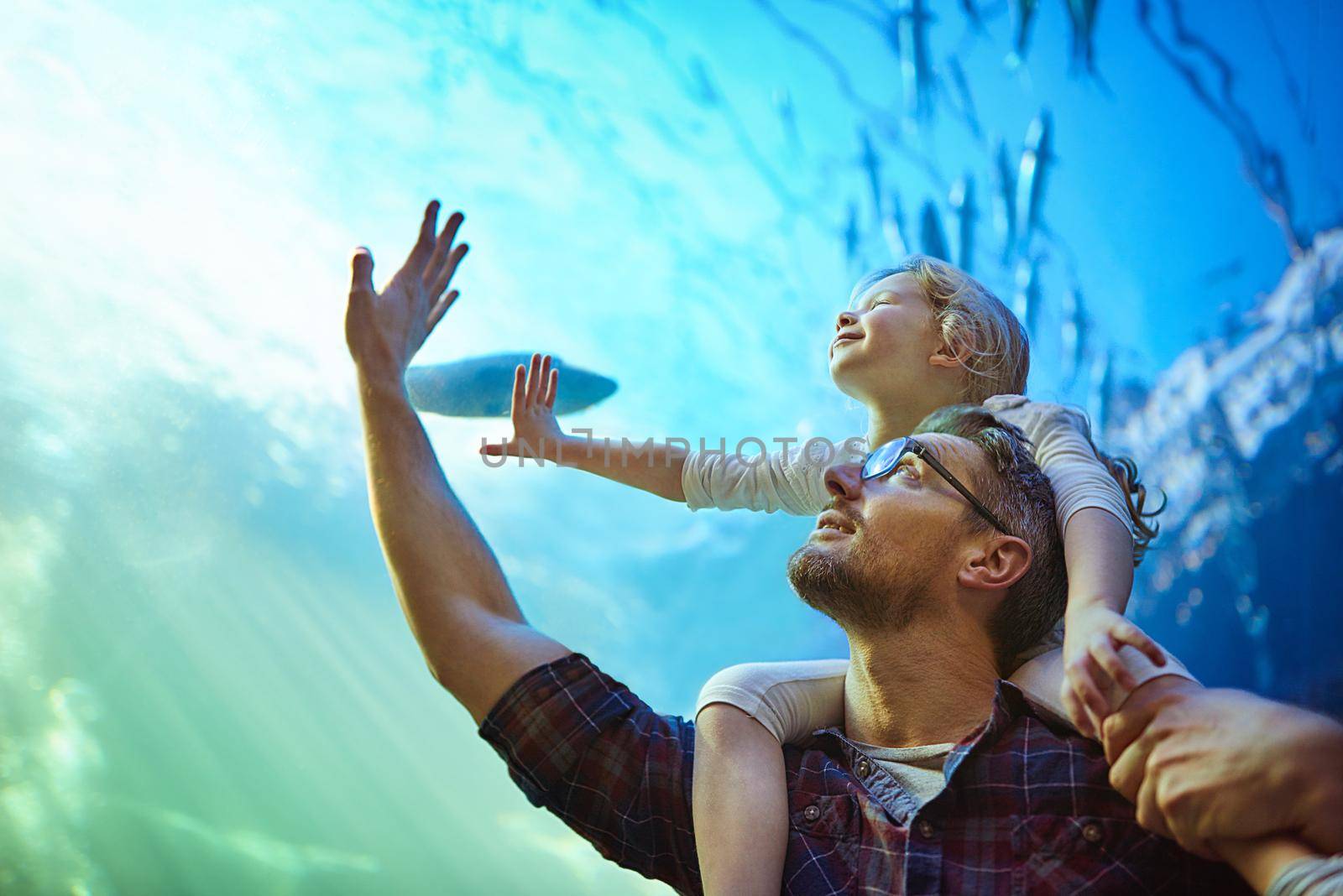 I wish we could touch them. a father and his little daughter looking at an exhibit in an aquarium