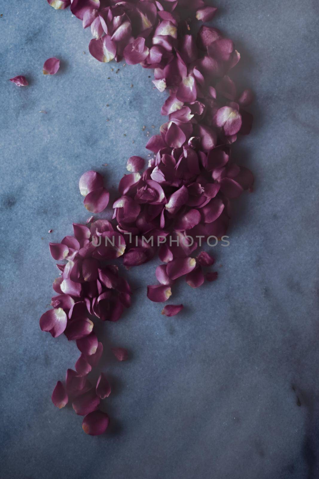 Art of flowers, wedding invitation and nature beauty concept - Rose petals on marble stone, floral background